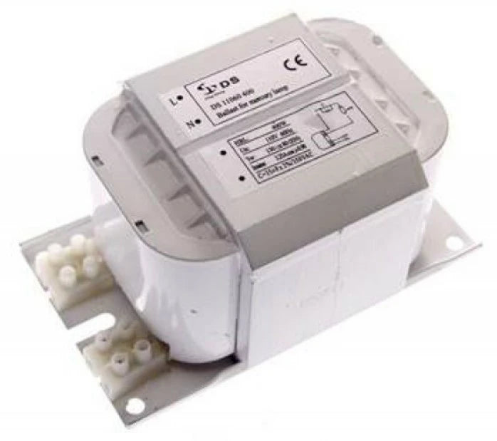 Ballast 110V 60Hz 1000W for HPM/MH