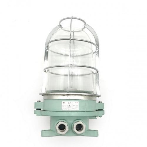 IMPA 792062 Resin Pendant Light 220V/200W | DS7-4M