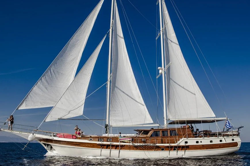 Captivate Audiences with Sailvibes