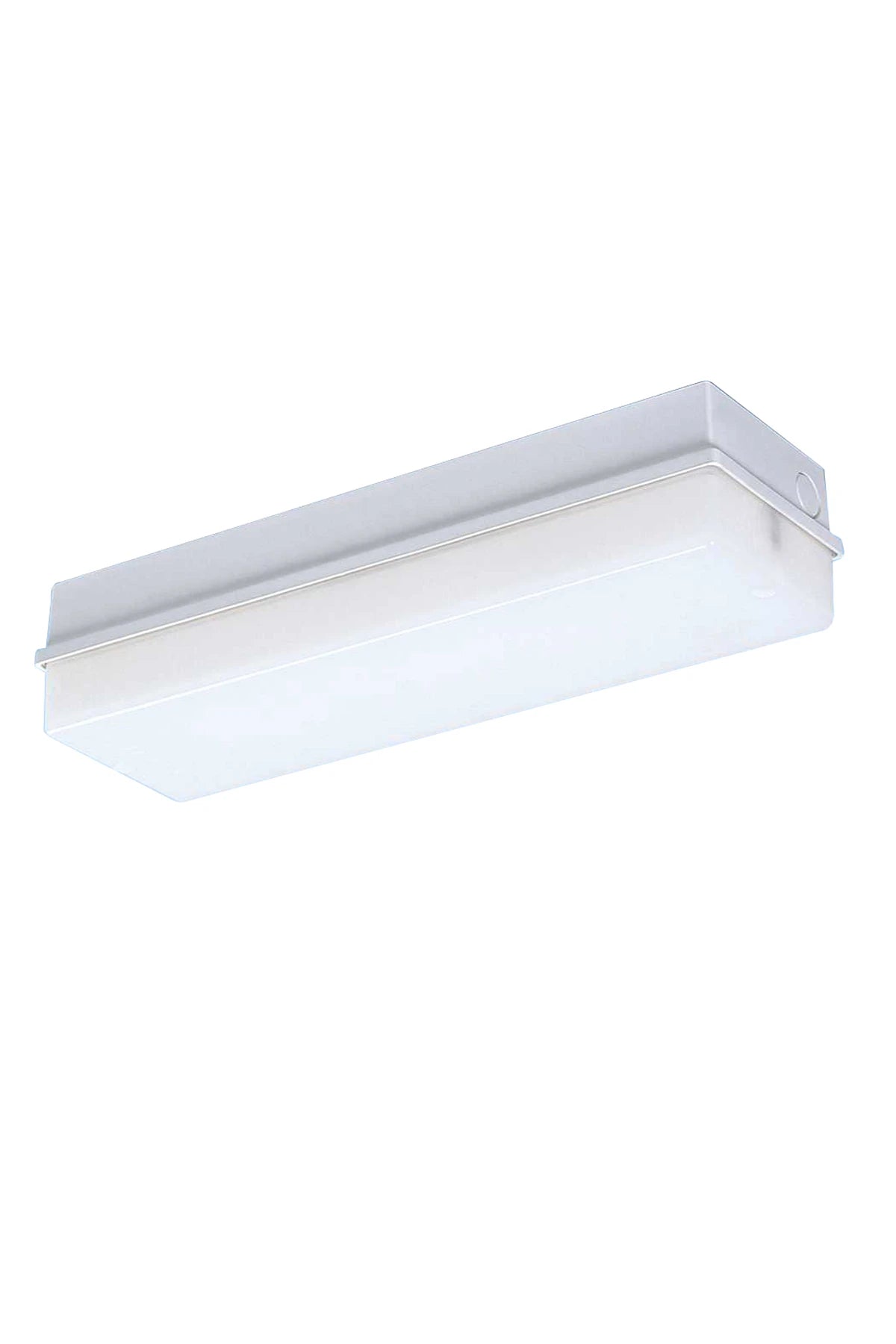 Fluo fixture 110V 60Hz 1x8W watertight IP54 with shade
