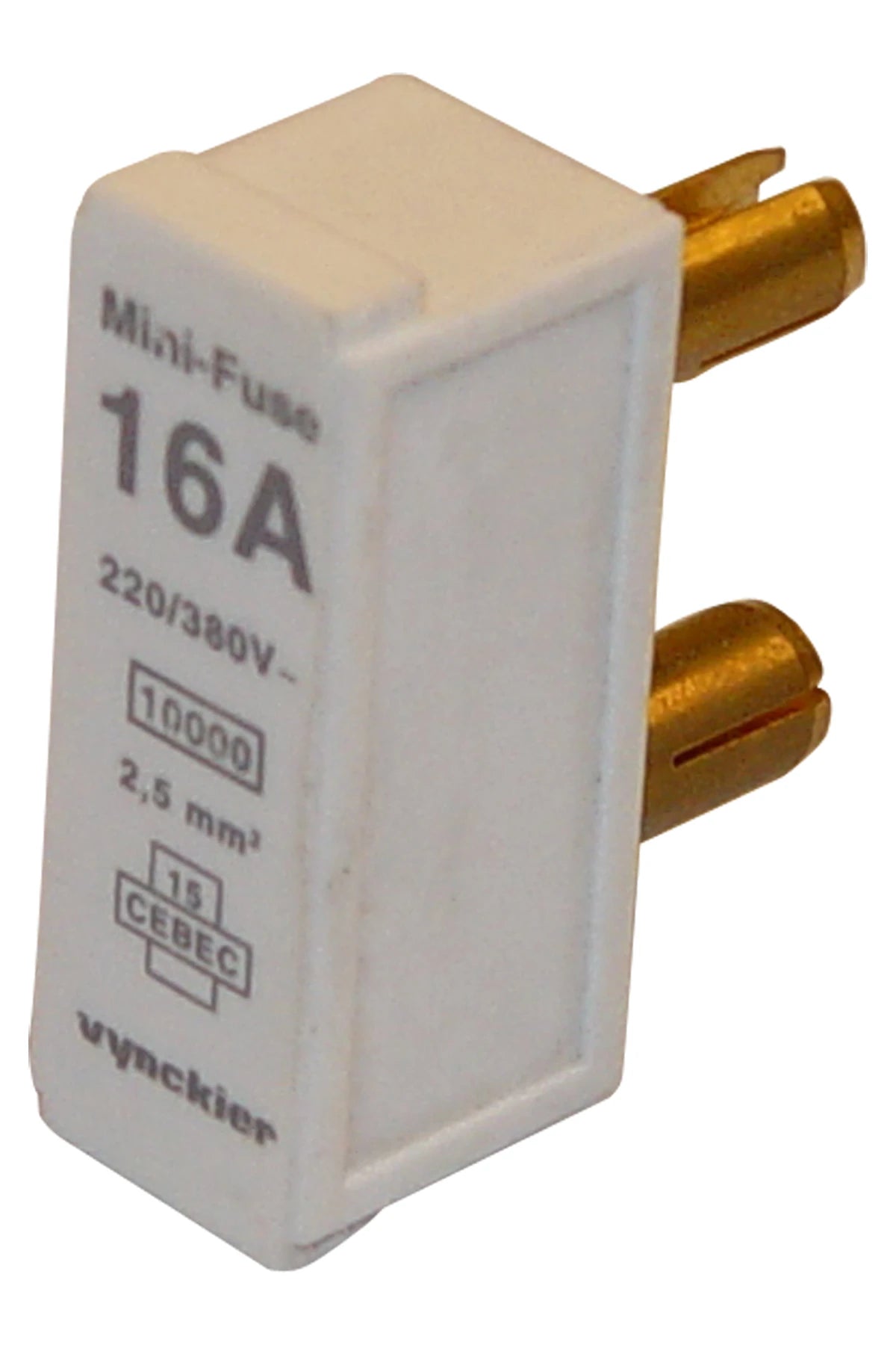 Belgium mini-fuse 2A