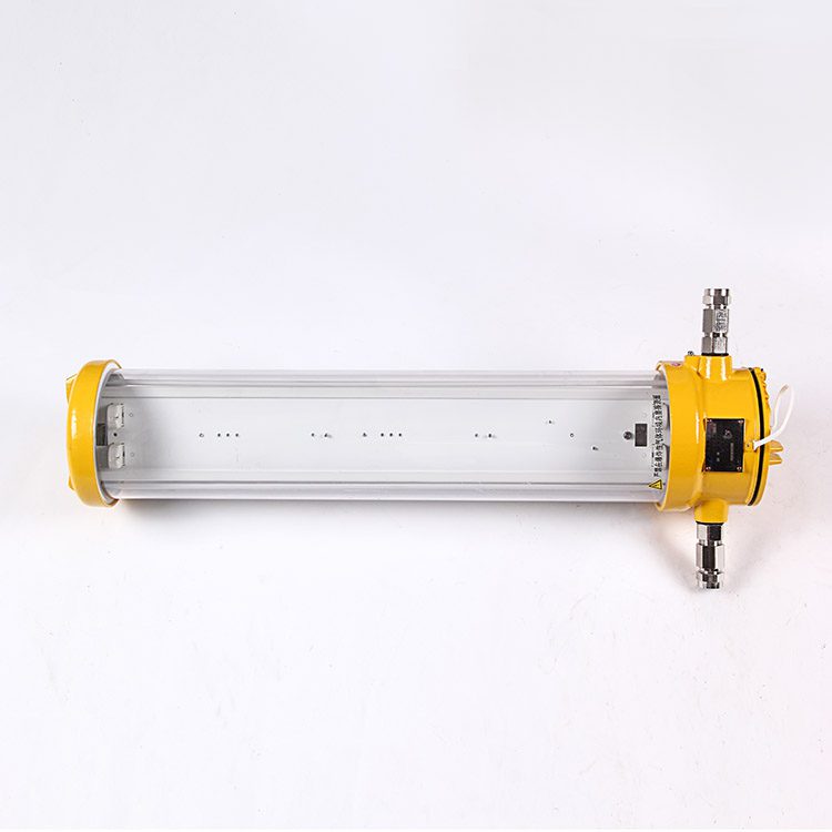 Marinelight Explosion Proof Fluorescent Pendant Light
