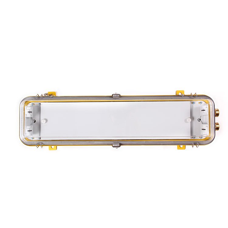 Marine Explosion-Proof Fluoresent Light – CFY