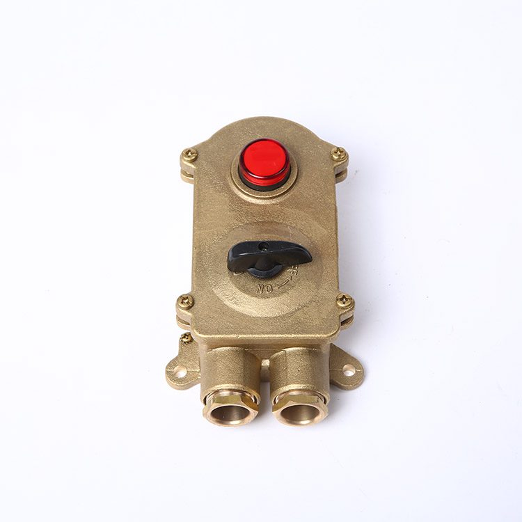 Marine Brass Socket With Chain Switch/Indicator Light