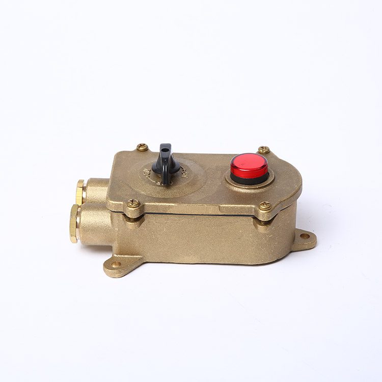 Marine Brass Socket With Chain Switch/Indicator Light